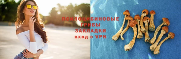 дмт Алексин