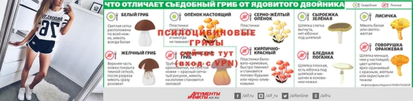 дмт Алексин