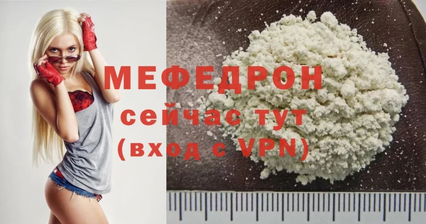 шишки Няндома