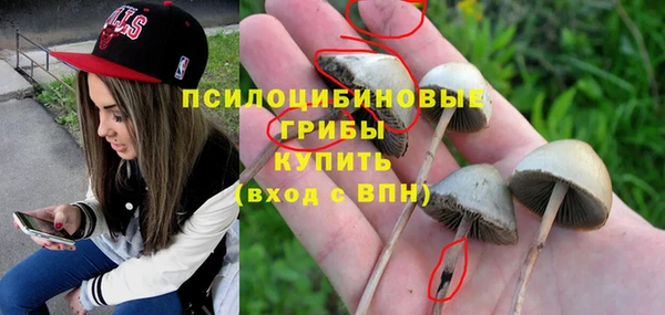спайс Алексеевка